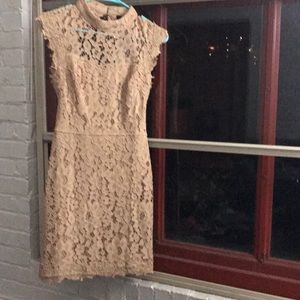 Lace Nude Dress